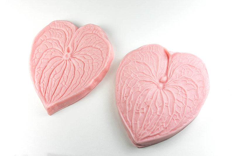 anthurium mold Anthurium