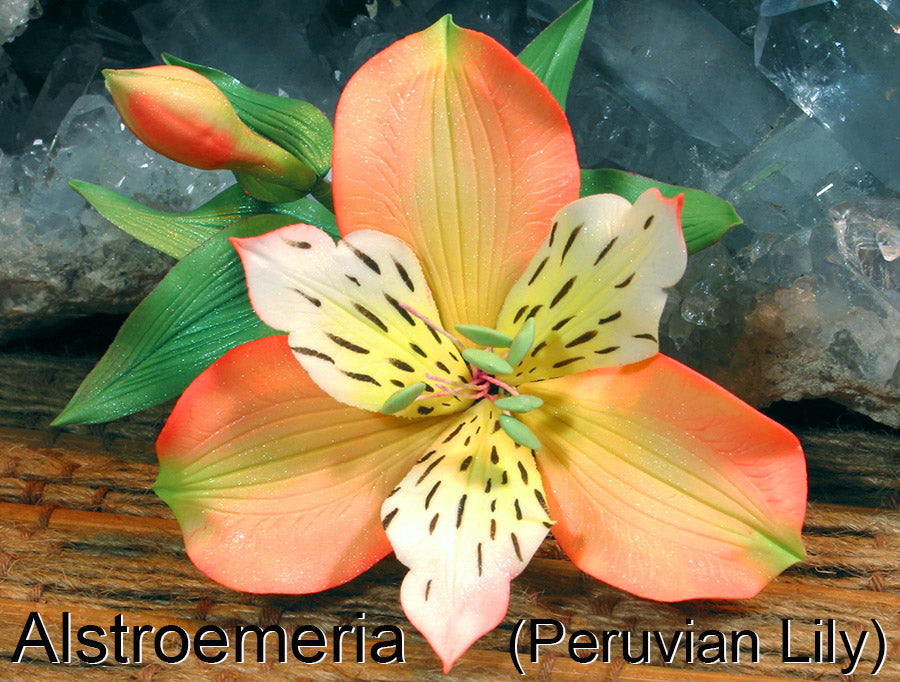 alstroemeria tiger lily Alstroemeria